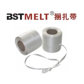 9mm 450m Bonded Strapping